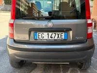 Usata Fiat Panda Dynamic 77 CV (56 kW) 2011 Grigio Utilitaria
