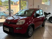 Usata Fiat Panda Icon 69 CV (50 kW) 2024 Rosso Utilitaria