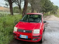 Usata Fiat Panda 69 CV (50 kW) 2008 Utilitaria