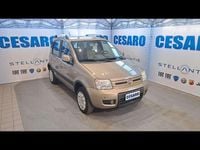 Usata Fiat Panda 4x4 Climbing 69 CV (50 kW) 2010 Beige spumeggiante (metallizza Utilitaria