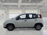 Usata Fiat Panda S 69 CV (50 kW) 2024 Utilitaria