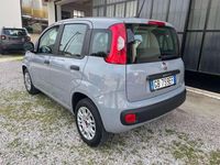 Usata Fiat Panda Easy 69 CV (50 kW) 2020 Other Utilitaria
