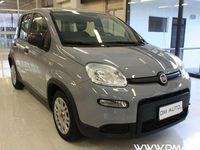 Usata Fiat Panda Easy 69 CV (50 kW) 2023 Bianco Utilitaria