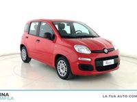 usata Fiat Panda 1.0 1.0 FireFly S&S Hybrid