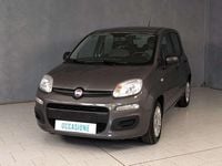 Usata Fiat Panda 70 CV (51 kW) 2022 Gray Utilitaria