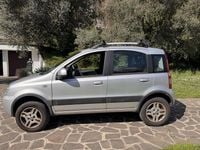 Usata Fiat Panda 4x4 69 CV (50 kW) 2010 Argento Utilitaria