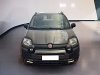 Usata Fiat Panda Cross Cross 69 CV (50 kW) 2022 Grigio Utilitaria