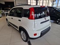 usata Fiat Panda Panda NUOVA My23 1.0 70cv Hybrid