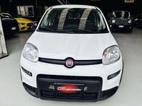 Usata Fiat Panda S 69 CV (50 kW) 2024 Bianco Utilitaria