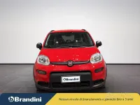 Usata Fiat Panda City Life 70 CV (51 kW) 2022 Rosso Utilitaria