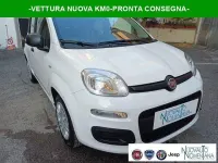 Nuova Fiat Panda Pop 69 CV (50 kW) 2026 Bianco Utilitaria