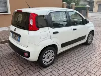 Usata Fiat Panda 69 CV (50 kW) 2015 Bianco Utilitaria