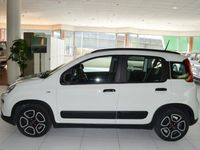 usata Fiat Panda 1.0 - my21 1.0 70cv hybrid city life