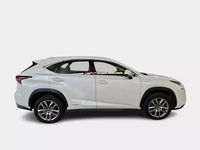 Usata Lexus NX300h Executive Line 155 CV (114 kW) 2019 Bianco SUV