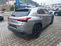 usata Lexus UX 250h Hybrid Midnight Edition