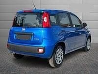 Nuova Fiat Panda Icon 69 CV (50 kW) 2025 Blu Berlina