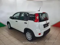 Usata Fiat Panda S 70 CV (51 kW) 2024 Bianco Utilitaria