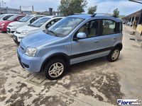 Usata Fiat Panda 4x4 Climbing 74 CV (54 kW) 2010 Blu Utilitaria