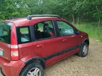 Usata Fiat Panda 4x4 69 CV (50 kW) 2005 Utilitaria