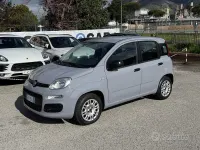 Usata Fiat Panda 69 CV (50 kW) 2019 Grigio Utilitaria