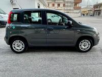 usata Fiat Panda 1.2 8V 69CV Easy - 2017