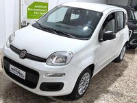 Usata Fiat Panda Easy 69 CV (50 kW) 2019 Bianco Utilitaria