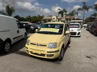 Usata Fiat Panda Dynamic 60 CV (44 kW) 2009 Giallo Utilitaria