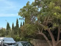 Usata Mazda MX5 110 CV (80 kW) 1999 Nero Cabrio