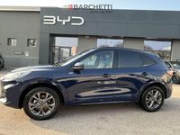 Usata Ford Kuga ST-Line 224 CV (164 kW) 2023 Blu SUV