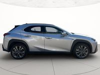Usata Lexus UX 300h Sport Line 2024 SUV