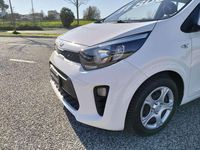 Usata Kia Picanto Urban 65 CV (47 kW) 2021 Bianco Utilitaria