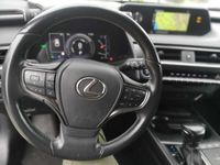 usata Lexus UX Hybrid 250h 2wd VCT autom