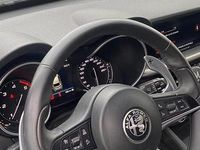 Usata Alfa Romeo Stelvio 2019 SUV