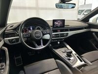 Usata Audi A5 Sportback Business 190 CV (139 kW) 2018 Bianco Utilitaria