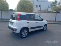 Usata Fiat Panda 4x4 85 CV (62 kW) 2019 Bianco Utilitaria