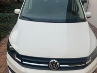 Usata VW Caddy 102 CV (75 kW) 2019 Bianco Monovolume