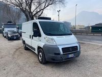 usata Fiat Ducato 10 3.0 MJT con frigo X COMMERCIANTI