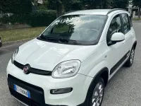 Usata Fiat Panda 4x4 S 75 CV (55 kW) 2014 Bianco Utilitaria