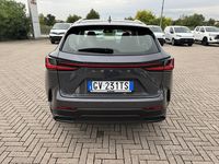 Usata Lexus NX350h Business Edition 244 CV (179 kW) 2024 Grigioblack SUV