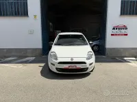 Usata Fiat Punto 75 CV (55 kW) 2014 Bianco Utilitaria