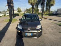Usata Fiat Panda Easy 69 CV (50 kW) 2018 Utilitaria