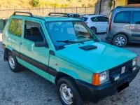 Usata Fiat Panda 4x4 50 CV (36 kW) 2002 Verde Utilitaria