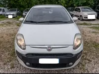 Usata Fiat Punto 80 CV (58 kW) 2011 Bianco Utilitaria