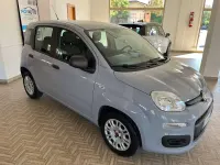 Usata Fiat Panda Easy 69 CV (50 kW) 2018 Grigio Utilitaria