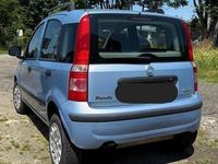 Usata Fiat Panda 60 CV (44 kW) 2007 Utilitaria