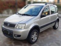 Usata Fiat Panda 4x4 Cross 69 CV (50 kW) 2007 Argento Utilitaria