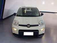 Usata Fiat Panda S 69 CV (50 kW) 2023 Bianco Utilitaria