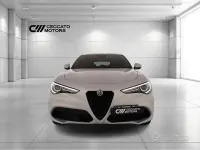 Usata Alfa Romeo Stelvio Veloce 209 CV (153 kW) 2021 Grigio SUV