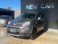 Usata Fiat Panda 4x4 Wild 86 CV (63 kW) 2022 Grigio Utilitaria