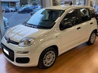 Usata Fiat Panda City Life 69 CV (50 kW) 2021 Bianco Utilitaria